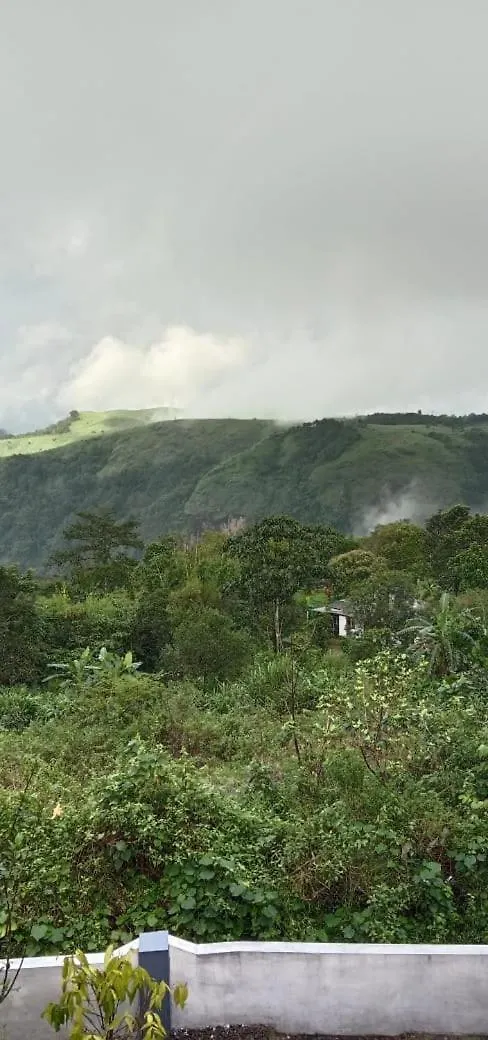Misty Hill View Homestay Vagamon Country house